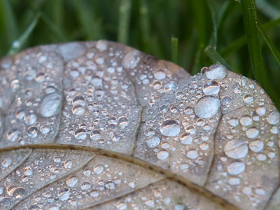 I had to wear a jacket this morning.  Not a good sign.