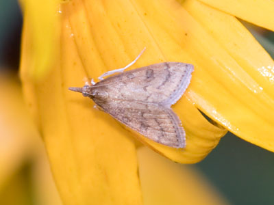 A life -- shorter and smaller than mine -- but a life.