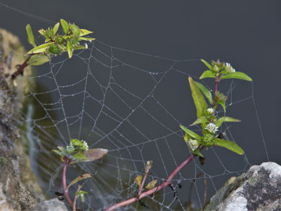 The world is full of hazards.