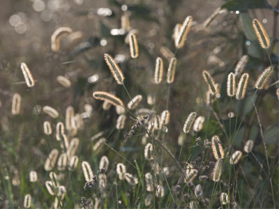 And then I realized some campers were watching me.