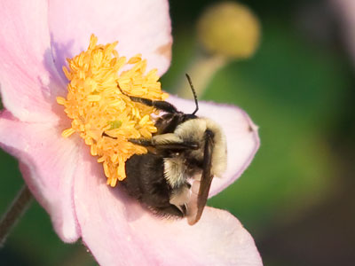 Hey, turn around! The camera`s over here.