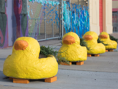 I`ve got all my ducks in a row.