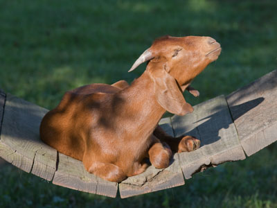 `Don`t hate me because I`m beautiful.`