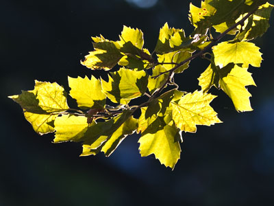 Change is coming.  I wish it wasn`t.