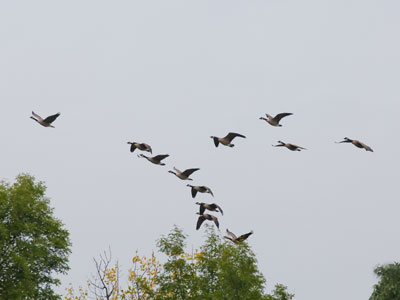 Leaving?  I can`t say I`m sorry to see you go.