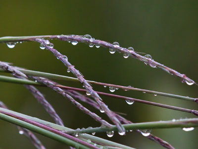 Without water, nothing else matters.  If we lose water, we lose everything.