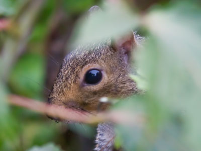 You THINK you`re hiding from me.