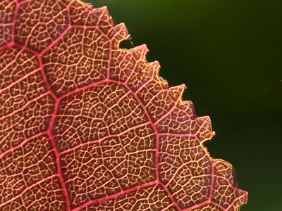 The universe is very, very big.  It`s also very, very small.