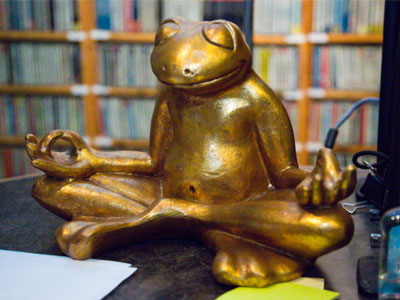 This week, I was watched over by a golden frog.