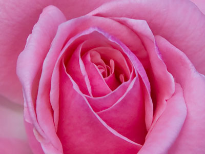 Perfection is temporary.