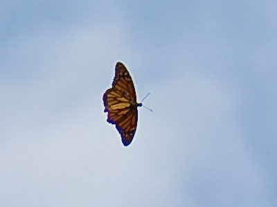 Oh, Mexico! It sounds so simple I just got to go. JAMES TAYLOR