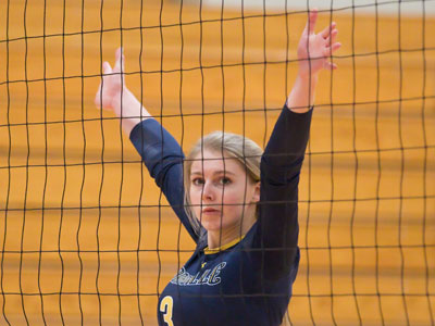 Defending her territory.