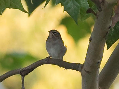 The last Friday morning of summer.