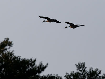 It`s always more fun to travel with somebody else.