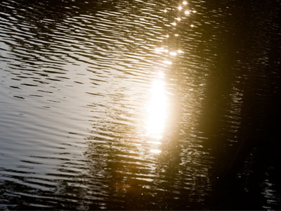 My good friend, the river, is even more quiet than I am.