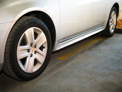 I had to wait my turn to take pictures of the gull.