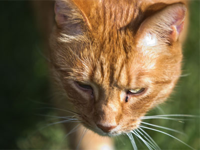 One hasn`t got time for the waiting game . . . 