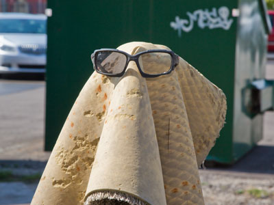 I wasn`t eager to go outside in the hot sun this afternoon, but I was rewarded when I found this.