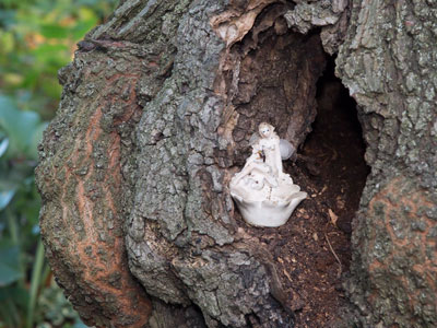 Homage to  Elsie Wright and Frances Griffiths.