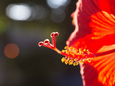 It was a summer day in autumn.