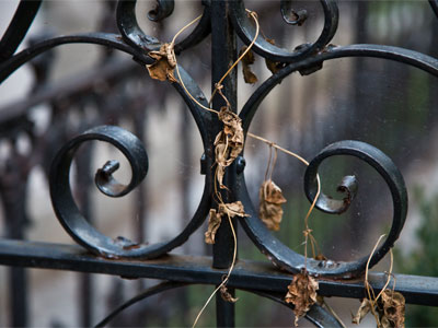 Important Notice:  there will be no pretty pictures here until after the vernal equinox on March 20, 2019.  Thanks for your understanding.