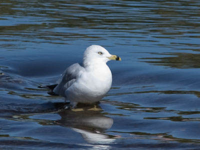 Surely there`s somewhere warmer to stand.