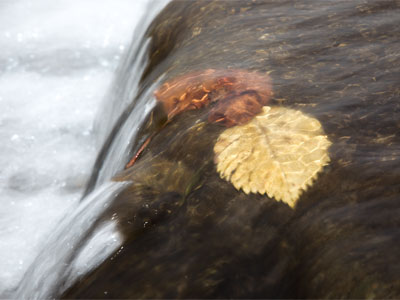 I miss you most of all, my darling, when autumn leaves start to fall. JOHNNY MERCER