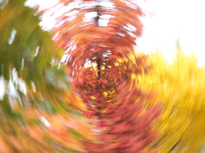 Autumn swirl.