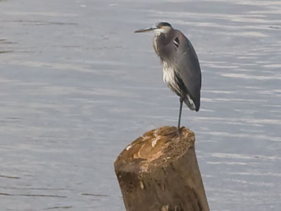 And then someone walked up and asked me, `Are you a professional?`  Those conversations never go well.