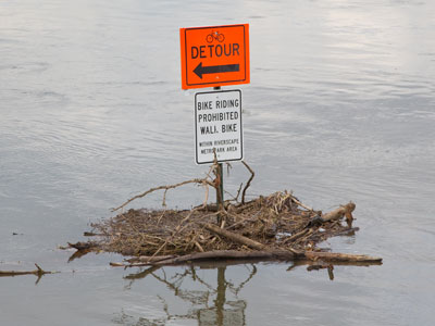 Lies the pathway chill and damp.  PAUL LAURENCE DUNBAR