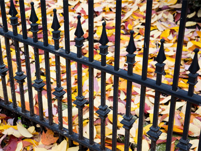 Autumn in the Oregon District.