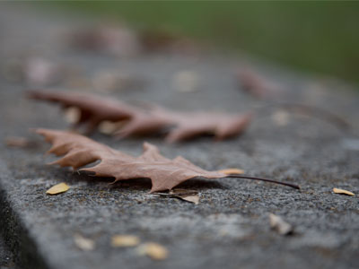 Some people actually like fall.  What`s wrong with them?