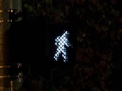 Then I saw a ghostly white figure crossing the street.