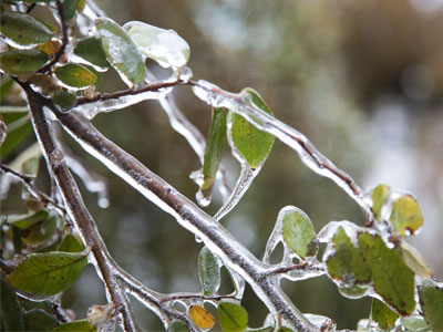 And winter hasn`t even started.