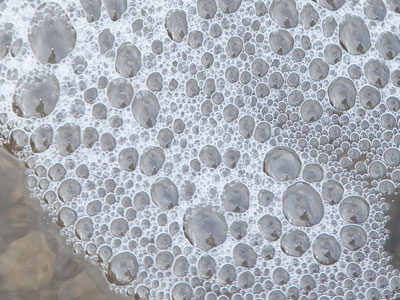 Each little bubble contains a self-portrait.