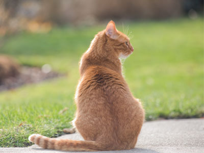 Still making a big show of ignoring me.