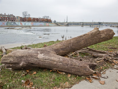 Wanna pull the wishbone with me?