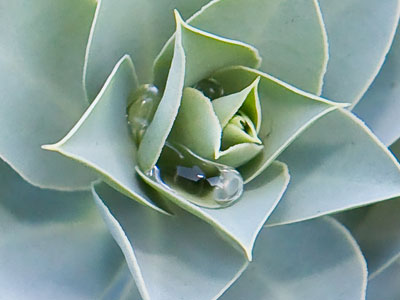 It glistened as I walked by, calling for my attention.