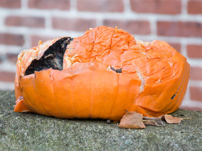 My pumpkin pie didn`t turn out as well as I`d hoped.