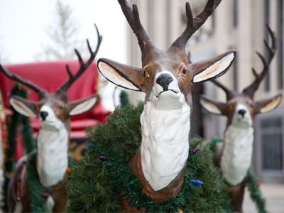 And to think I never believed they existed until today.