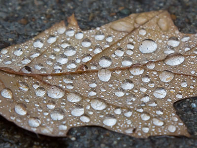 Right outside my front door, I found my first photo today.