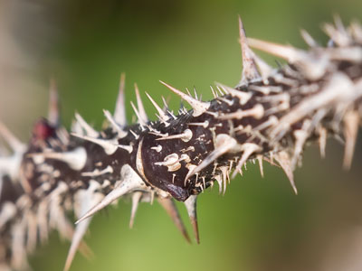 What the weather at this time of year feels like to me.