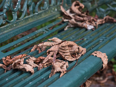 Autumn is nature`s way of recycling.