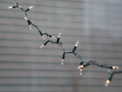 It`s Christmastime in the city.