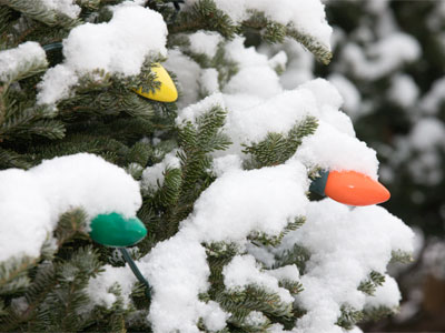 Today I looked out the window and thought, `I guess I have to take pictures of the STUPID PRETTY SNOW.`