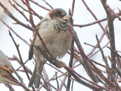 Neither of us are enjoying the snow.