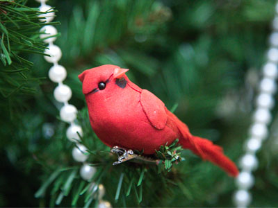 Despite the cold, I can still get great nature photos.