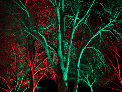 Mirkwood was once a beautiful forest, but a sickness has fallen upon it and it`s now a wild, dark place into which the sun rarely shines.