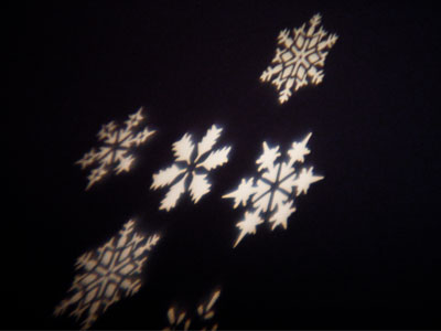 They`re pretty when they`re fake.