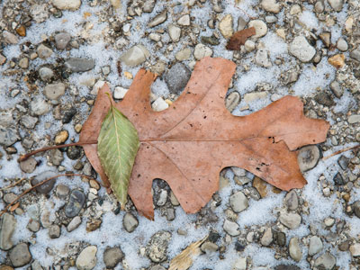 We`ll get through this together.